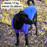Királykék kutya pulóver kapucnival ( XS- 4XL, 30-75 cm)