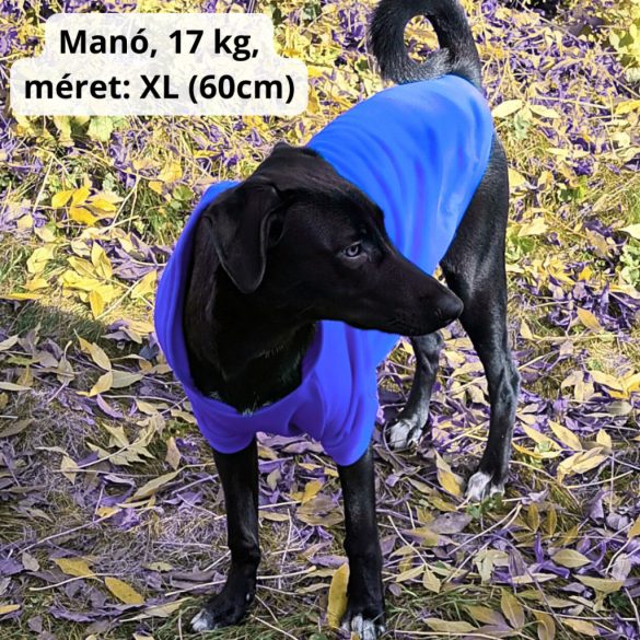 Királykék kutya pulóver kapucnival ( XS- 4XL, 30-75 cm)