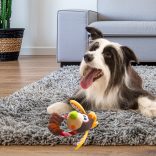 Horse Dog Toy, no sound