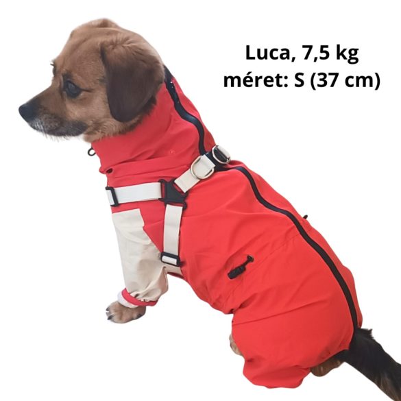 Hátán cipzáros eső overál kutyáknak (XS-M/L , 31-52cm )