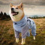 Hátán cipzáros eső overál kutyáknak (XS-M/L , 31-52cm )