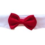 Borvörös kutya csokornyakkendő esküvőre, ünnepekre (S-L, 28-40 cm)